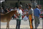 premiazione haflinger