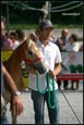 vendita clusone haflinger