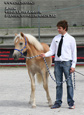 vendita haflinger